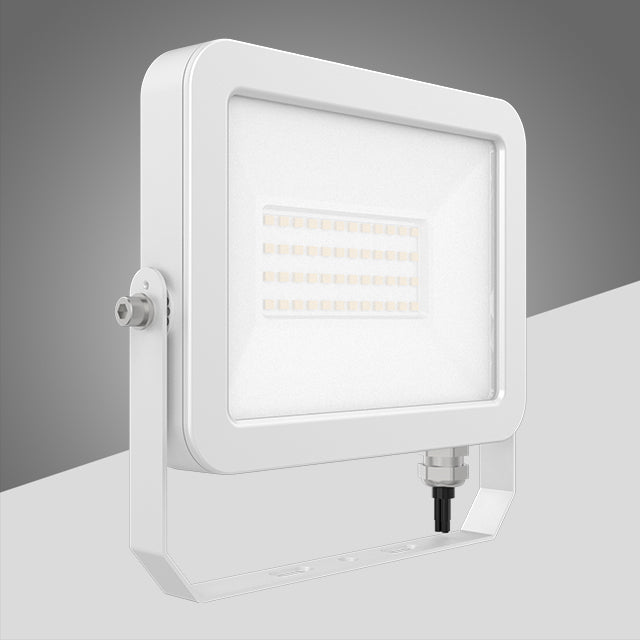 SWF-AP LED Flood Light - Angle View