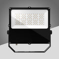 SWF-CH LED Flood Light - Main View