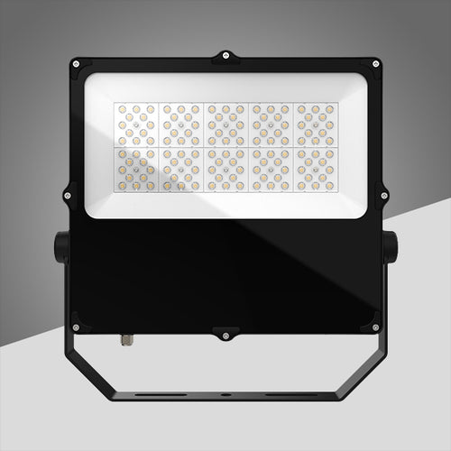 SWF-CH LED Flood Light - Main View